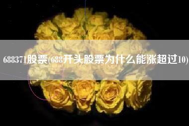 688371股票(688开头股票为什么能涨超过10)