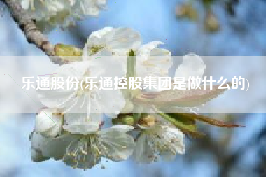 乐通股份(乐通控股集团是做什么的)