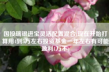 国投瑞银进宝灵活配置混合(现在开始打算用4到5万左右投资基金一年左右有可能盈利1万不)