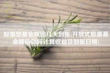 股票型基金赎回几天到账(开放式股票基金赎回如何计算收益及到帐日期)