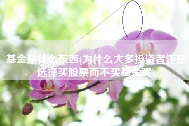 基金是什么东西(为什么大多投资者还是选择买股票而不买基金呢)