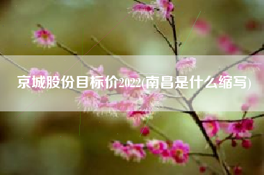 京城股份目标价2022(南昌是什么缩写)