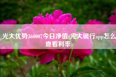光大优势360007今日净值(光大银行app怎么查看利率)