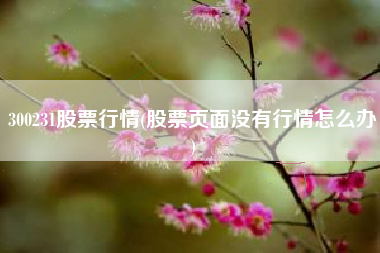 300231股票行情(股票页面没有行情怎么办)