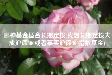 哪种基金适合长期定投(我想长期定投大成沪深300或者嘉实沪深300指数基金)