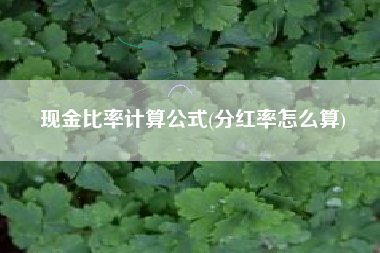 现金比率计算公式(分红率怎么算)