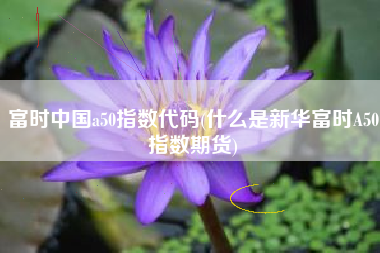 富时中国a50指数代码(什么是新华富时A50指数期货)