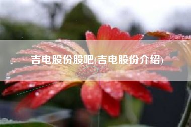 吉电股份股吧(吉电股份介绍)