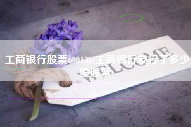 工商银行股票600138(工商银行发行了多少股股票)