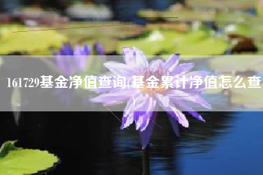 161729基金净值查询(基金累计净值怎么查)