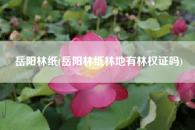 岳阳林纸(岳阳林纸林地有林权证吗)