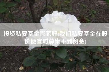 投资私募基金哪家好(我们私募基金在股价便宜时募集不到资金)