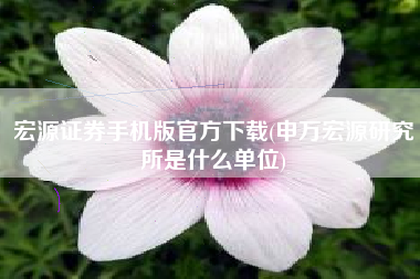 宏源证券手机版官方下载(申万宏源研究所是什么单位)