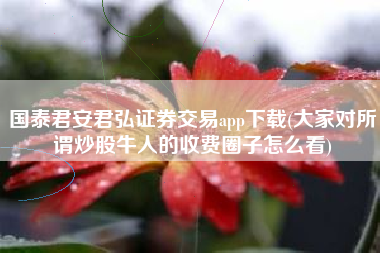国泰君安君弘证券交易app下载(大家对所谓炒股牛人的收费圈子怎么看)