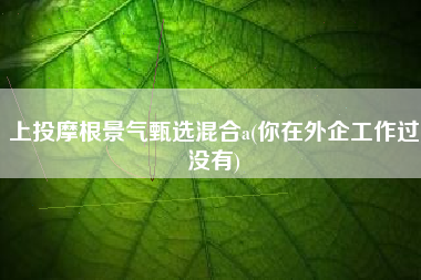 上投摩根景气甄选混合a(你在外企工作过没有)