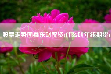股票走势图鑫东财配资(什么叫年线期货)