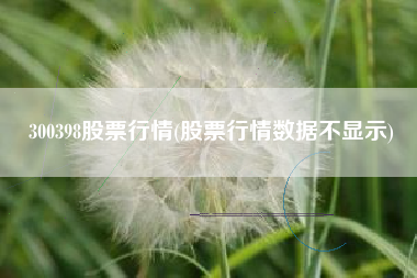 300398股票行情(股票行情数据不显示)