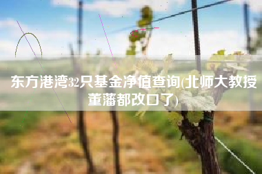 东方港湾32只基金净值查询(北师大教授董藩都改口了)