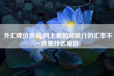 外汇牌价查询(网上查的和银行的汇率不一致是什么原因)