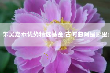东吴嘉禾优势精选基金(古时曲阿是哪里)
