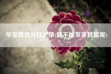 华宝精选分红记录(能不能发家致富呢)