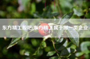 东方精工股吧(东方精工属于哪一类企业)