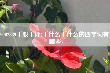 002339千股千评(千什么千什么的四字词有哪些)