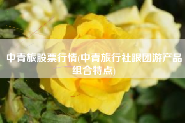 中青旅股票行情(中青旅行社跟团游产品组合特点)