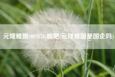元隆雅图(002878)股吧(元隆雅图是国企吗)