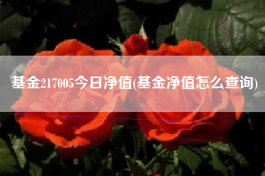 基金217005今日净值(基金净值怎么查询)