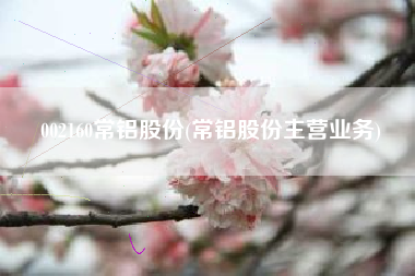002160常铝股份(常铝股份主营业务)