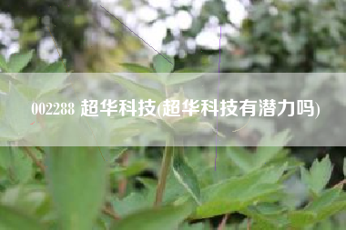 002288 超华科技(超华科技有潜力吗)