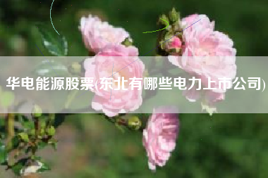 华电能源股票(东北有哪些电力上市公司)