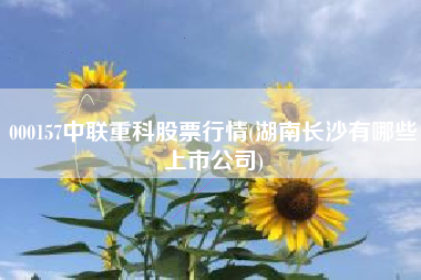 000157中联重科股票行情(湖南长沙有哪些上市公司)