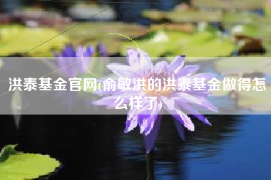 洪泰基金官网(俞敏洪的洪泰基金做得怎么样了)