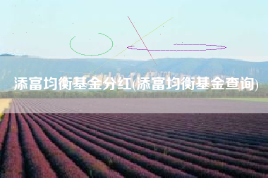 添富均衡基金分红(添富均衡基金查询)