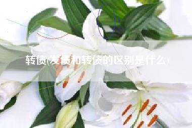 转债(发债和转债的区别是什么)