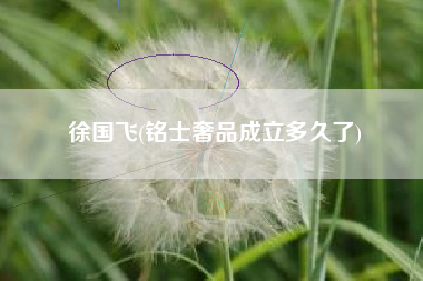 徐国飞(铭士奢品成立多久了)