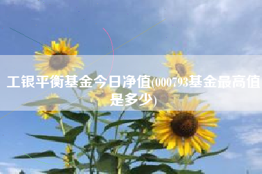 工银平衡基金今日净值(000793基金最高值是多少)