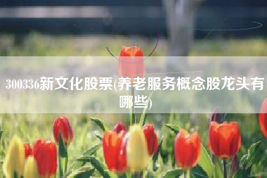300336新文化股票(养老服务概念股龙头有哪些)