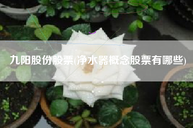九阳股份股票(净水器概念股票有哪些)