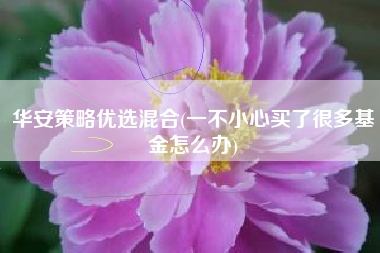 华安策略优选混合(一不小心买了很多基金怎么办)
