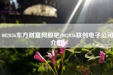 002036东方财富网股吧(002036联创电子公司介绍)