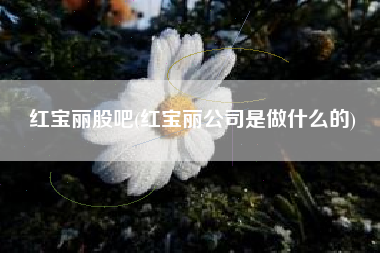 红宝丽股吧(红宝丽公司是做什么的)