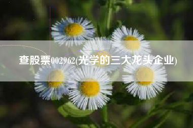 查股票002962(光学的三大龙头企业)
