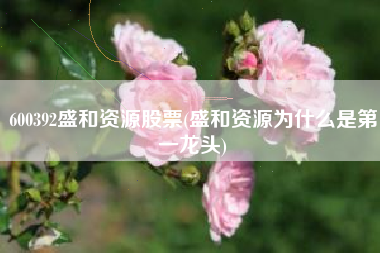 600392盛和资源股票(盛和资源为什么是第一龙头)