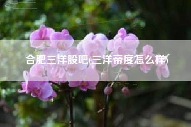合肥三洋股吧(三洋帝度怎么样)