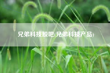 兄弟科技股吧(兄弟科技产品)