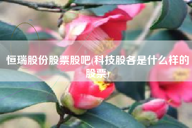恒瑞股份股票股吧(科技股各是什么样的股票)