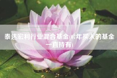 泰达宏利行业混合基金(07年买入的基金一直持有)